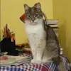 Отзыв от Нина Завьялова